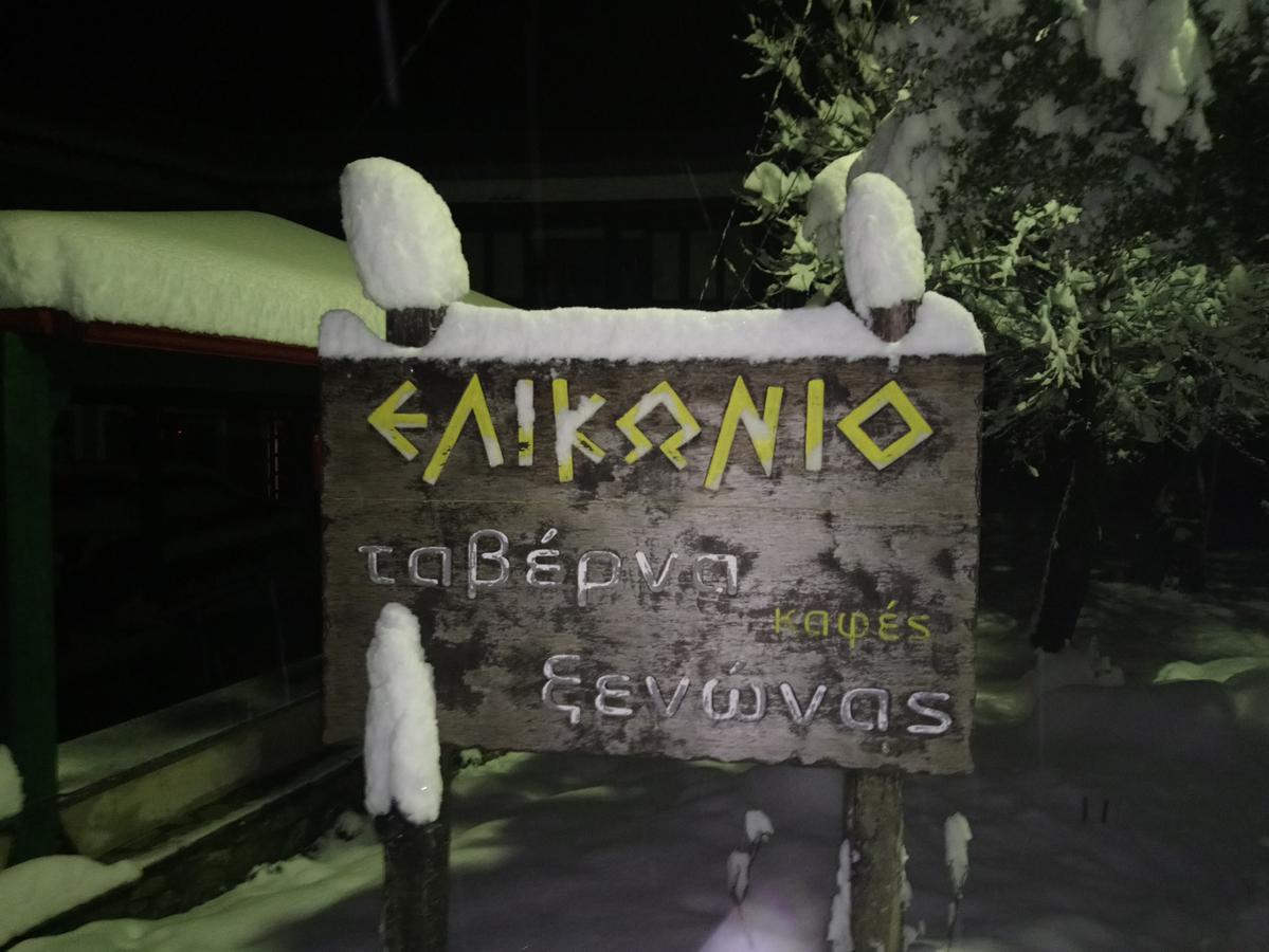 Hotel Elikonio Agia Anna  Esterno foto